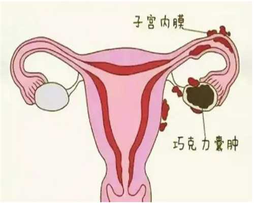 国内供卵机构介绍,胚胎移植第23天出血原因大揭秘,真的是流产引起的吗?