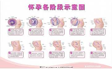国内代生哪家优惠,寒性绿豆汤好喝下火促排期间勿贪嘴，这10种食物别混一起煮